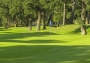 Hôtel Lodge golf & Spa 4* - Landes (40).