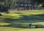 Hôtel Lodge golf & Spa 4* - Landes (40).